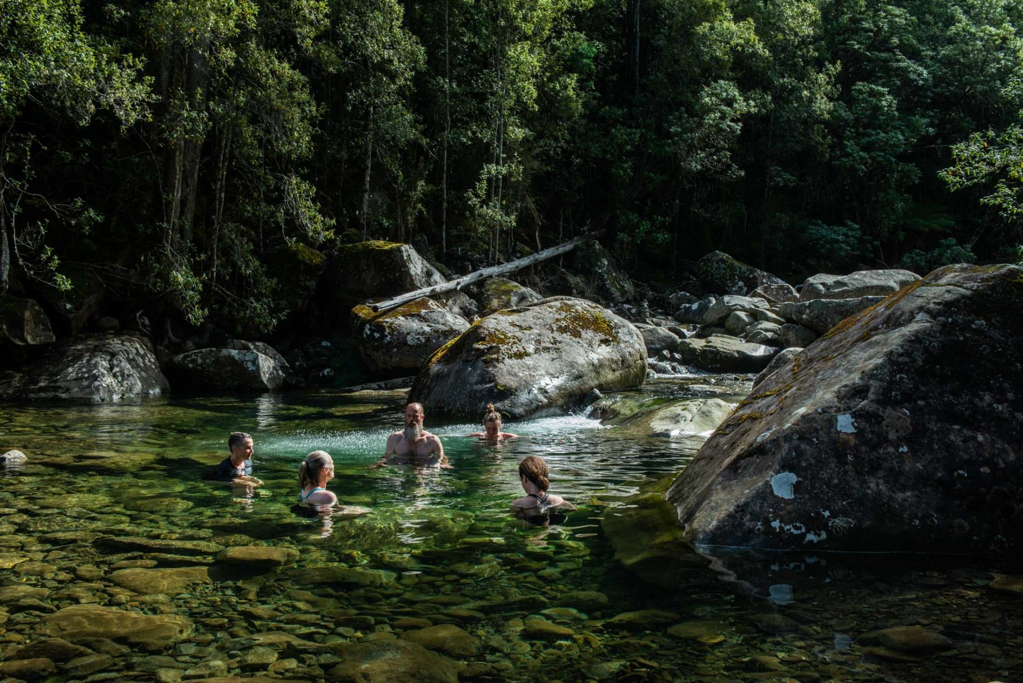 A group of people swimming in a river in a forest, capturing the essence of Tasmania's natural beauty.